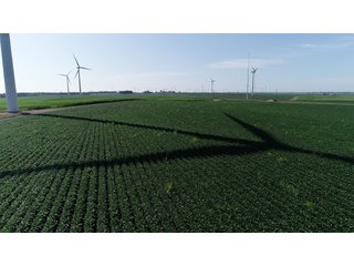Bureau County, Illinois farmland - LAND AND WIND RIGHTS AUCTION - 337+/- ACRES IN 4 TRACTS IN BUREAU COUNTY, ILLINOIS